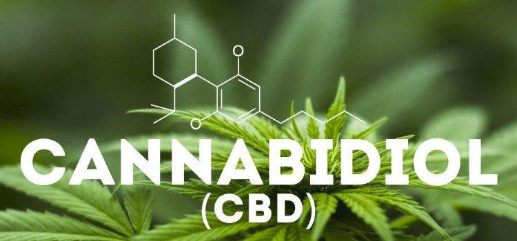 Scoperta dei Cannabinoidi: Un Viaggio nell'Universo dei Composti della Cannabis
