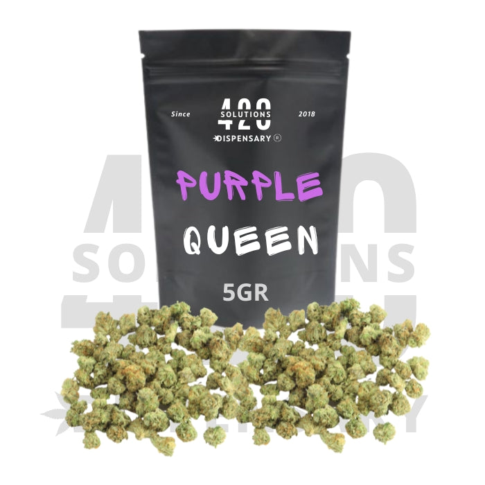 PURPLE QUEEN SMALL BUDS