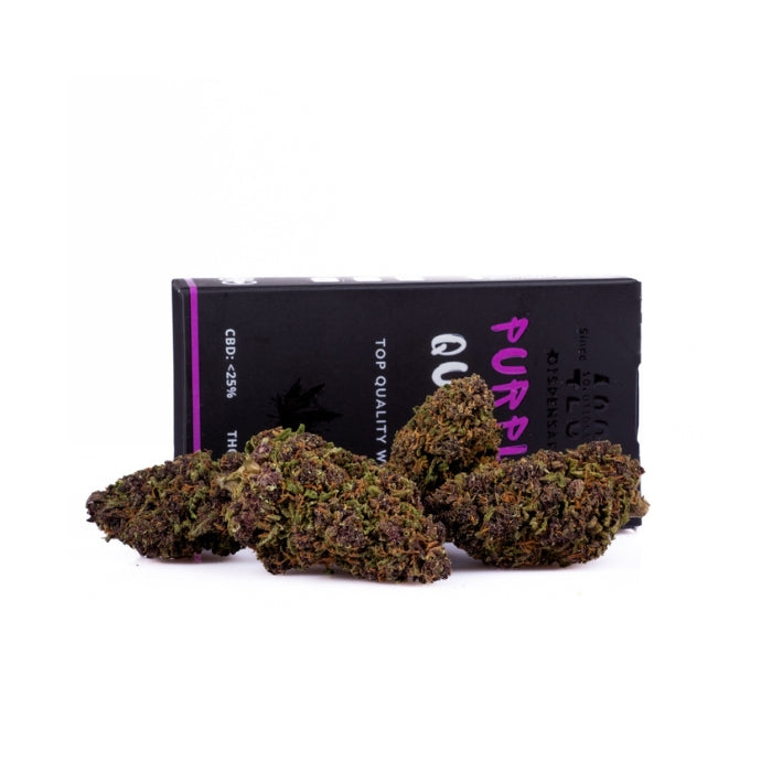 PURPLE QUEEN