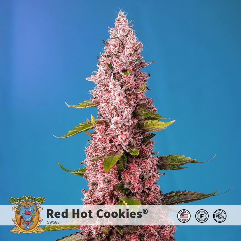 RED HOT COOKIES
